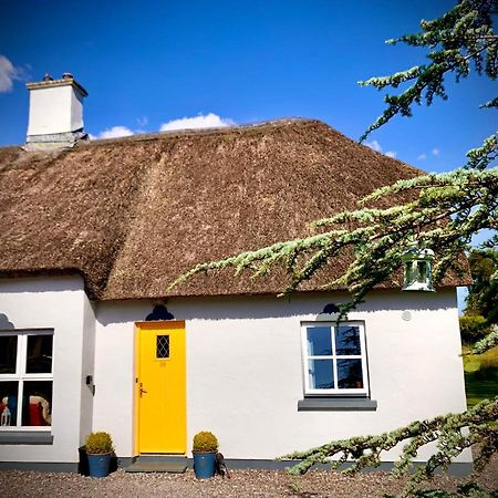 Willa Old Killarney Zewnętrze zdjęcie