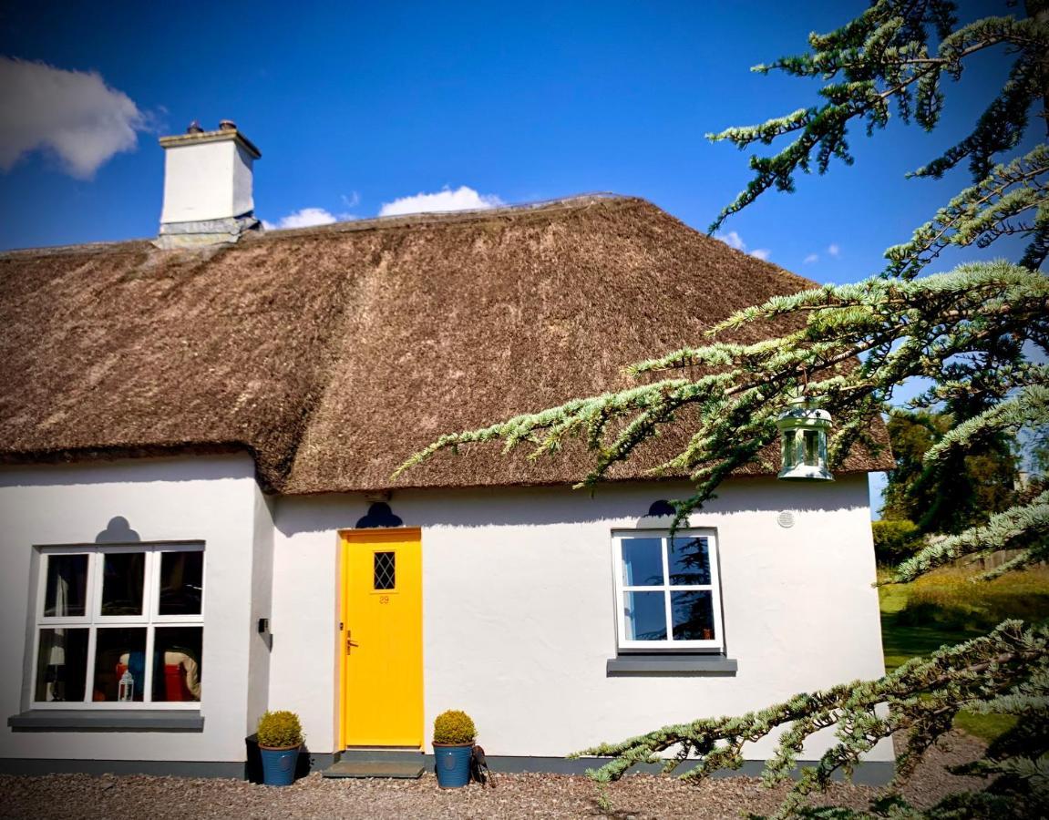 Willa Old Killarney Zewnętrze zdjęcie