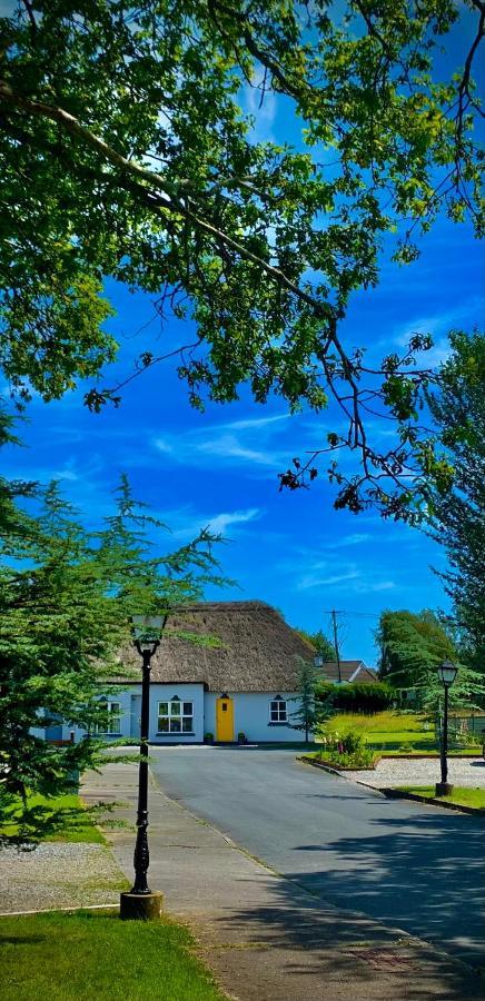 Willa Old Killarney Zewnętrze zdjęcie